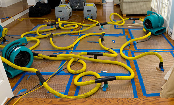 Professional Crawl Space Water Removal technician working in Eaton, CO